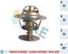 Ford Escort Focus Mondeo Connect Transit Termostat 88 Derece 1.8D-1.8TDCI 2.5D FAE