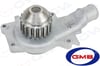 Ford Escort Devirdaim GVA