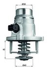 BMW Termostat Gövdeli MAHLE