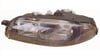 Far Sol Marea/Bravo Bm 95-