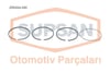 Ford Fiesta Segman 1.4 TDCi Duratorq 8V 68BG SUPSAN