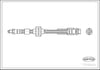 Ford Focus C-Max Arka Fren Hortumu [Diskli Tip] CORTECO