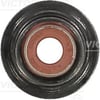 Ford Peugeot Citroen Fiat Volvo Supap Lastiği 2.0 TDCİ HDI V.REINZ