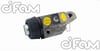 Ford LCV Fren Silindiri CIFAM