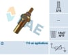 Ford Hararet Müşürü FAE