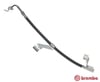 Ford Escort V Convertible Fren Hortumu BREMBO