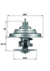 Ford Termostat Insert MAHLE