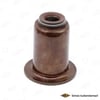 Ford Peugeot Citroen Fiat Volvo Supap Lastiği 2.0 TDCİ DW10 SKT