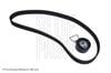 Land Rover Freelander 1 Triger Seti BLUEPRINT