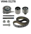 Triger Seti PTFE SKF