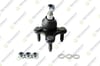 Volkswagen Golf V Caddy III Jetta III Seat Toledo III Rotil Alt Sağ TEKNOROT