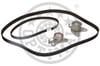 Hyundai H100 Mitsubishi L200 L300 Triger Kayış Seti 2.5L 8v OPTIMAL
