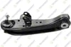 Hyundai H100 / Mitsubishi L300 Salıncak Alt Sol Rotilli TEKNOROT