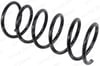 Hyundai Elantra III Hatchback Ön Helezon Yayı OTOZONE