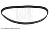 Hyundai Accent Getz Tucson Santafe Kia Sportage Triger Kayışı BLUEPRINT
