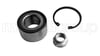 Honda Jazz City Ön Teker Rulmanı CIFAM