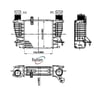 Nissan Juke Note Renault Clio III Intercooler RADISEN