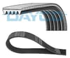 Kanallı Kayış Ferrarı 456 Mıtsubsubıshı 25 2.7 12V 84-89 2.8 12V 86-92