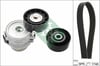 Land Rover Discovery Sport L550 Freelander II L359 Kanallı Kayış Seti 224DT INA