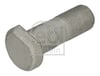 Man E2000 ECM F2000 F90 FOC HOC Lion S Bijon FEBI