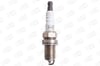 Renault Megane Clio R19 Peugeot 106 206 306 Bipper Nemo Citroen C2 C3 AX ZX... CHAMPION