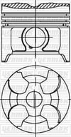 Mercedes C250D E250D E250TD E300D C200D Piston Segman STD YENMAK