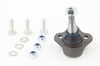 Ford Mondeo Rotil CONTITECH
