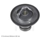 Nissan Navara Termostat BLUEPRINT