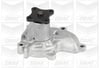 Nissan M10 NM10 T11 T12 Devirdaim Pompası GRAF