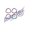 Fiat Palio Albea 1.2 16V Emme Manifold Contası Takım Silikon AVORTEX