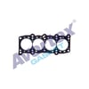 Fiat Palio 1.2 Uno 60S Panda SKC AVORTEX