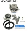 VW Passat Audi A4 A6 Devirdaimli Eksantrik Gergi Kiti SKF