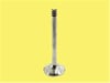 Volkswagen Passat / Golf 5 / Jetta / Audi A3 / Seat Leon Emme Egzoz Subap... GUNES