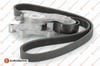 Alternatör Gergi Kiti 6PK975 EUROREPAR