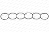 Peugeot Manifold Contası PAYEN