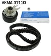 Volkswagen Polo Seat Ibiza Triger Seti SKF