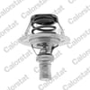Renault R19 Termostat VERNET