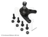Ford Ranger Mazda BT50 Rotil Alt Sağ-Sol 4x4 [2006>] BLUEPRINT