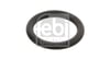 Renault Dacia Audi Seat VW Skoda Opel Ford Peugeot Hararet Müşür Oringi FEBI