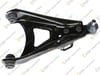 Rn029-R Alt Salıncak Komple Sağ R21 Mngr Optima 7700783458