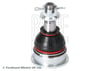 Suzuki SX4 Rotil BLUEPRINT