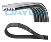 Hyundai Terracan Kanallı Kayış DAYCO