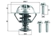 Termostat İç Parçası MAHLE