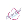 Vakum Pompa Contası AVORTEX