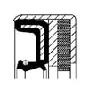 Şanzıman Rulmanı SKF