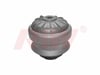 Motor Takozu RIW