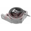 Motor Takozu RIW