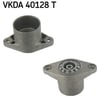 Rulman SKF