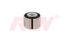 Salıncak ve Denge Kol Burcu RIW