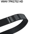 Kanallı V Kayışı SKF